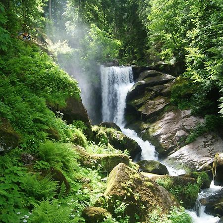 Rita - Atemberaubenden Wasserfaelle Triberg im Schwarzwald Esterno foto